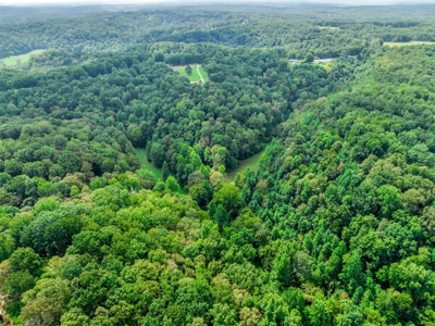 Land for Sale in Maury County Tennessee - image 24