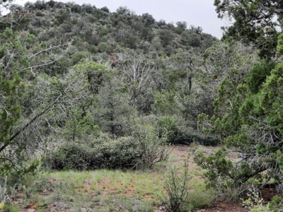 Unbelievable 47+ Acre Norhtern Az Mountain Property. - image 12