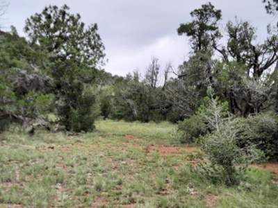 Unbelievable 47+ Acre Norhtern Az Mountain Property. - image 6