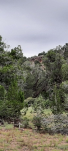 Unbelievable 47+ Acre Norhtern Az Mountain Property. - image 2