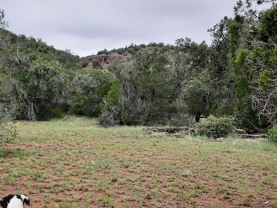 Unbelievable 47+ Acre Norhtern Az Mountain Property. - image 4