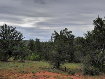 Unbelievable 47+ Acre Norhtern Az Mountain Property. - image 13