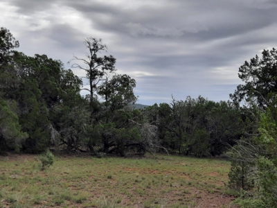 Unbelievable 47+ Acre Norhtern Az Mountain Property. - image 7