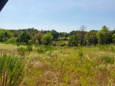 477.5 Acre Cattle Ranch In Antlers Oklahoma For Sale - image 17