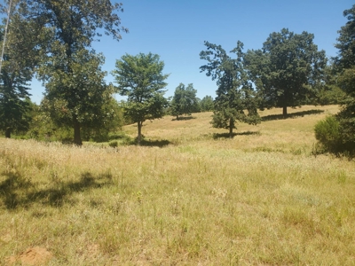477.5 Acre Cattle Ranch In Antlers Oklahoma For Sale - image 37