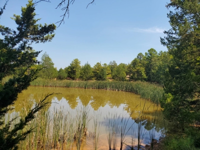 477.5 Acre Cattle Ranch In Antlers Oklahoma For Sale - image 22