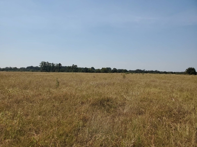 477.5 Acre Cattle Ranch In Antlers Oklahoma For Sale - image 29