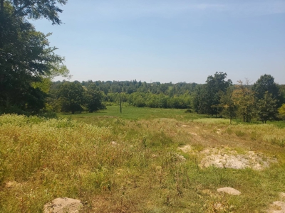 477.5 Acre Cattle Ranch In Antlers Oklahoma For Sale - image 35