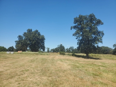 477.5 Acre Cattle Ranch In Antlers Oklahoma For Sale - image 41
