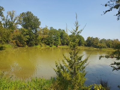 477.5 Acre Cattle Ranch In Antlers Oklahoma For Sale - image 11