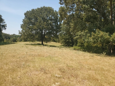 477.5 Acre Cattle Ranch In Antlers Oklahoma For Sale - image 14