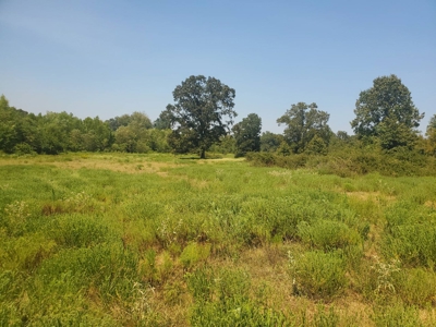 477.5 Acre Cattle Ranch In Antlers Oklahoma For Sale - image 33