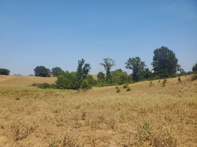 477.5 Acre Cattle Ranch In Antlers Oklahoma For Sale - image 26
