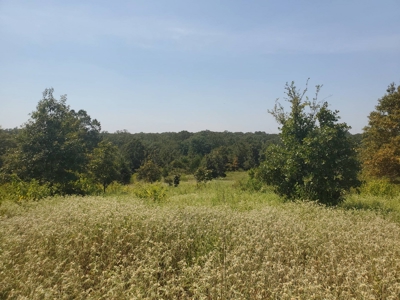 477.5 Acre Cattle Ranch In Antlers Oklahoma For Sale - image 19