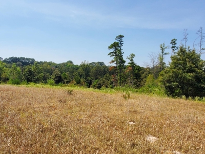 477.5 Acre Cattle Ranch In Antlers Oklahoma For Sale - image 18