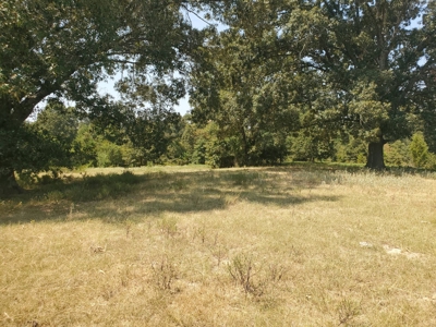 477.5 Acre Cattle Ranch In Antlers Oklahoma For Sale - image 13