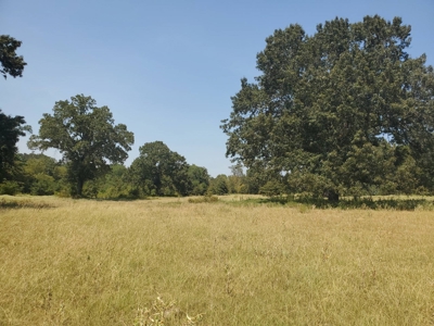 477.5 Acre Cattle Ranch In Antlers Oklahoma For Sale - image 15