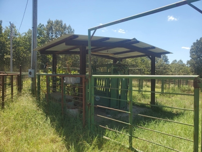 477.5 Acre Cattle Ranch In Antlers Oklahoma For Sale - image 48