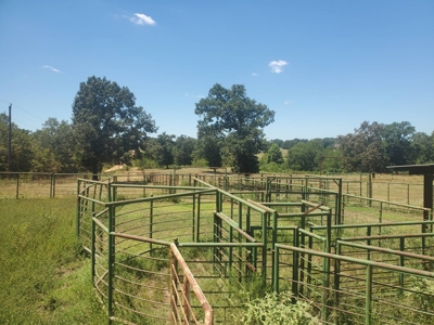 477.5 Acre Cattle Ranch In Antlers Oklahoma For Sale - image 46
