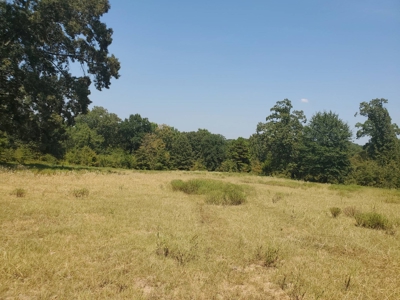 477.5 Acre Cattle Ranch In Antlers Oklahoma For Sale - image 12