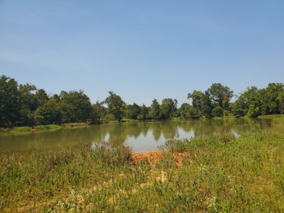 477.5 Acre Cattle Ranch In Antlers Oklahoma For Sale - image 4