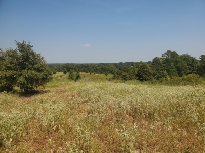 477.5 Acre Cattle Ranch In Antlers Oklahoma For Sale - image 20