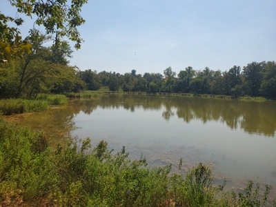 477.5 Acre Cattle Ranch In Antlers Oklahoma For Sale - image 7