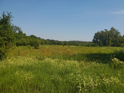 477.5 Acre Cattle Ranch In Antlers Oklahoma For Sale - image 8