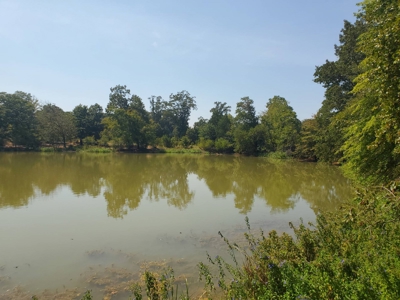 477.5 Acre Cattle Ranch In Antlers Oklahoma For Sale - image 6