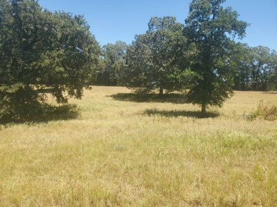 477.5 Acre Cattle Ranch In Antlers Oklahoma For Sale - image 36