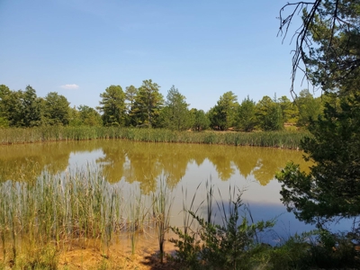 477.5 Acre Cattle Ranch In Antlers Oklahoma For Sale - image 25