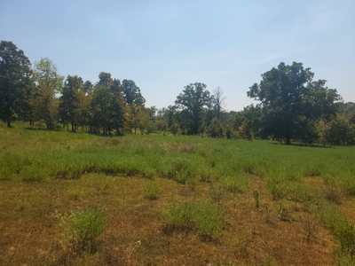 477.5 Acre Cattle Ranch In Antlers Oklahoma For Sale - image 34