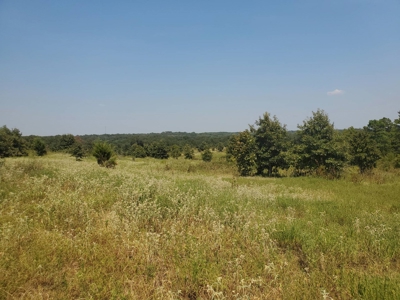 477.5 Acre Cattle Ranch In Antlers Oklahoma For Sale - image 21