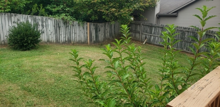 200 Meadow Valley Rd. Lexington Ky. 40511 Home Corner lot - image 4