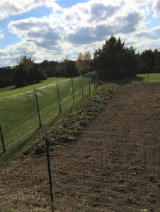 Rural Southern Iowa Retreat - image 44