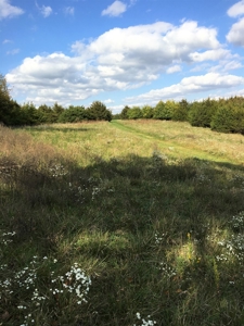 Rural Southern Iowa Retreat - image 48