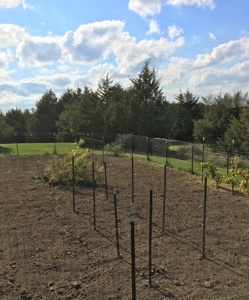 Rural Southern Iowa Retreat - image 35