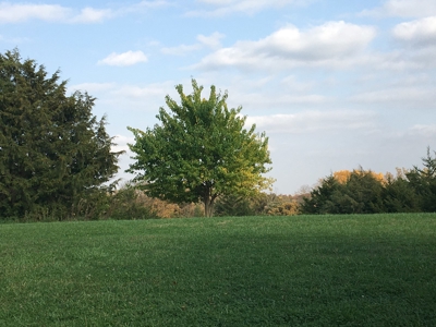 Rural Southern Iowa Retreat - image 50