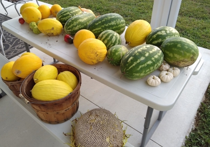 Rural Southern Iowa Retreat - image 39