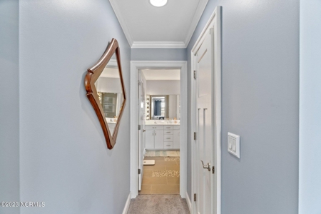 441 N Bear Swamp Road, Hertford, NC 27944 - image 17