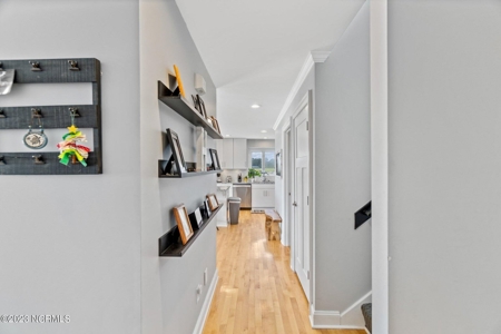441 N Bear Swamp Road, Hertford, NC 27944 - image 12