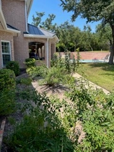 Stunning Country Updated Home-pool, Acreage, Bulverde Texas - image 2