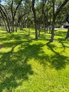 Stunning Country Updated Home-pool, Acreage, Bulverde Texas - image 4