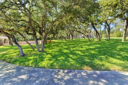 Stunning Country Updated Home-pool, Acreage, Bulverde Texas - image 34