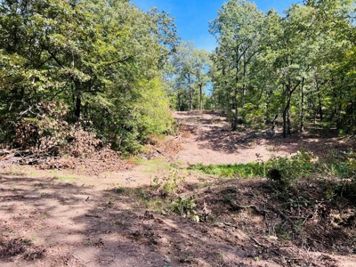 Land For Sale In North Central Arkansas - image 7