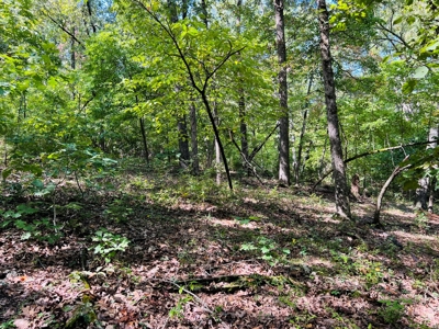 Land For Sale In North Central Arkansas - image 15