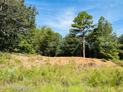 Land For Sale In North Central Arkansas - image 26