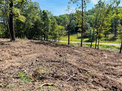 Land For Sale In North Central Arkansas - image 4