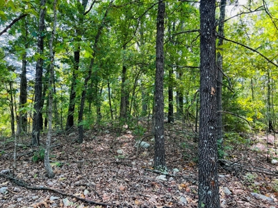 Land For Sale In North Central Arkansas - image 11