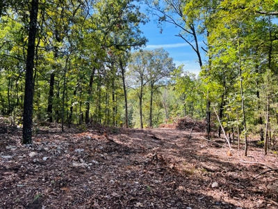 Land For Sale In North Central Arkansas - image 10